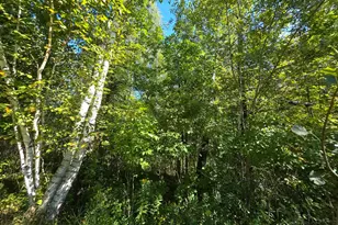 2550 270th Ave, Brook Park, MN 55007 - Photo 21