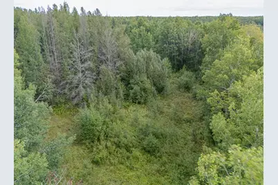 Tbd Peary Road, Kelsey, MN 55724 - Photo 9