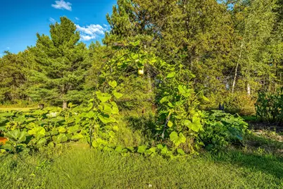 47335 323rd Avenue, Cass Lake, MN 56633 - Photo 53