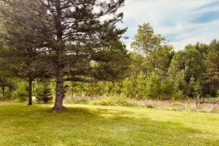 39446 Old Backboard Rd, Laporte, MN 56461 - Photo 23
