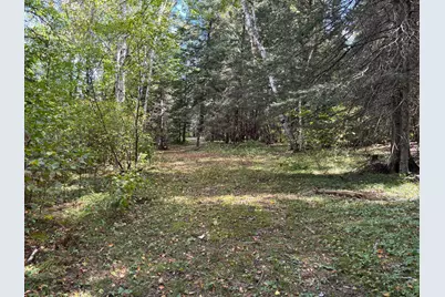 Tbd County Road 152, Park Rapids, MN 56470 - Photo 17