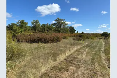 Tbd County Road 152, Park Rapids, MN 56470 - Photo 15