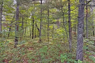 24771 Swede Rd, Webster, WI 54893 - Photo 5