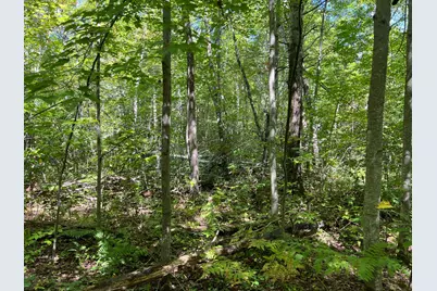 000 Maple Tree Lane, Pine City, MN 55063 - Photo 5