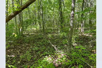 000 Maple Tree Lane, Pine City, MN 55063 - Photo 9