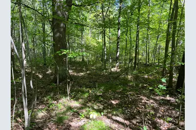 000 Maple Tree Lane, Pine City, MN 55063 - Photo 13