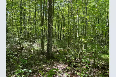 000 Maple Tree Lane, Pine City, MN 55063 - Photo 3