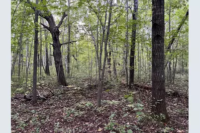 000 Maple Tree Lane, Pine City, MN 55063 - Photo 27