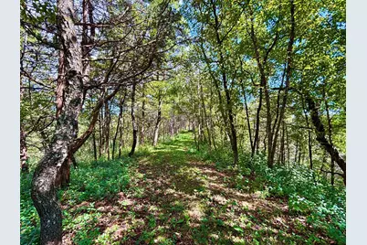 28185 Cr-21, Lanesboro, MN 55949 - Photo 23
