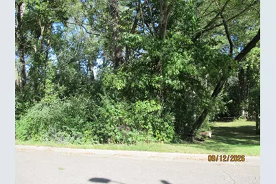 Tbd(Two Lots) Rounds Avenue, New Richmond, WI 54017 - Photo 1
