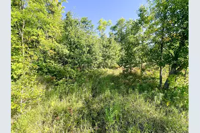 Tbd Lumberjack Road NW, Shevlin, MN 56676 - Photo 33