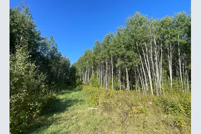 Tbd Lumberjack Road NW, Shevlin, MN 56676 - Photo 25