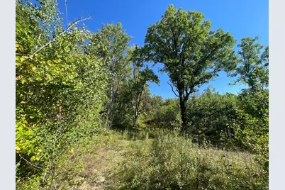 Tbd Lumberjack Road NW, Shevlin, MN 56676 - Photo 35