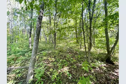 Tbd Lumberjack Road NW, Shevlin, MN 56676 - Photo 29