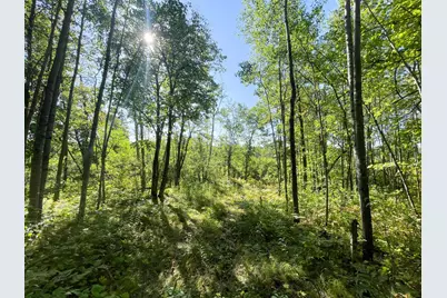 Tbd Lumberjack Road NW, Shevlin, MN 56676 - Photo 37