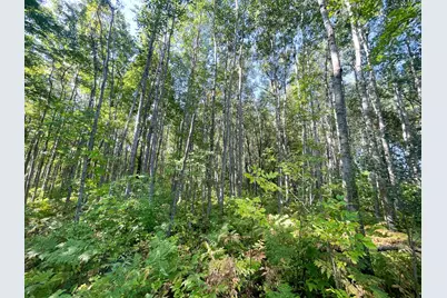 Tbd Lumberjack Road NW, Shevlin, MN 56676 - Photo 41