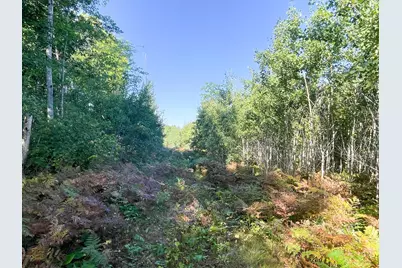 Tbd Lumberjack Road NW, Shevlin, MN 56676 - Photo 39