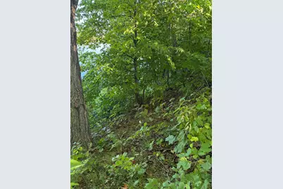 40740 Placid Drive, Dent, MN 56528 - Photo 11