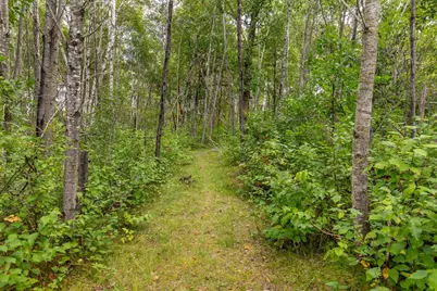 22233 Wilderness Drive, Verndale, MN 56481 - Photo 3
