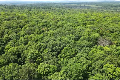 Lot 4 Smith Road, Couderay, WI 54828 - Photo 13