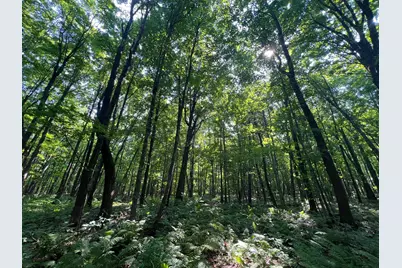 Lot 4 Smith Road, Couderay, WI 54828 - Photo 27