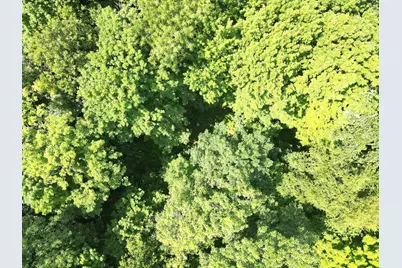 Lot 4 Smith Road, Couderay, WI 54828 - Photo 19