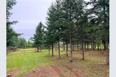 84227 Denham Road, Willow River, MN 55795 - Photo 17
