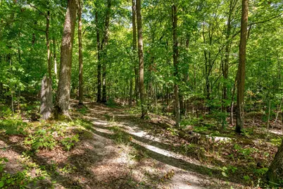 Tbd Lantern Lane, Hackensack, MN 56452 - Photo 7