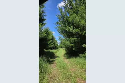 766 14th Avenue, Almena, WI 54805 - Photo 61
