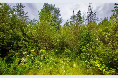 Tbd 480th/Cty Rd 3 Street, Palisade, MN 56469 - Photo 39