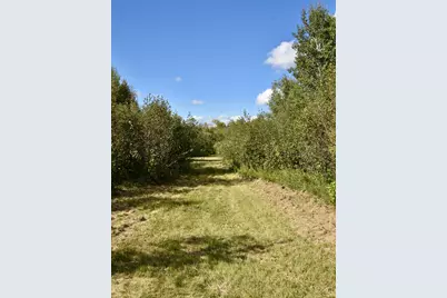 Tbd 480th/Cty Rd 3 Street, Palisade, MN 56469 - Photo 7