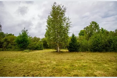 Tbd 480th/Cty Rd 3 Street, Palisade, MN 56469 - Photo 23