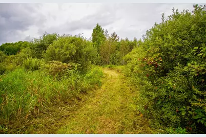 Tbd 480th/Cty Rd 3 Street, Palisade, MN 56469 - Photo 5