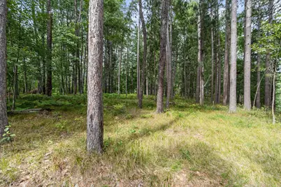 36130 Butternut Point Road, Pequot Lakes, MN 56472 - Photo 53