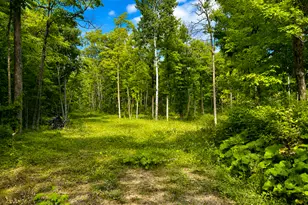 40816 181st Ave, Clearbrook, MN 56634 - Photo 23