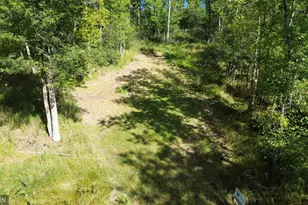 Tbd Sheshebe Rd, McGregor, MN 55760 - Photo 1