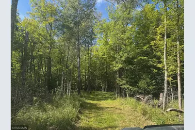 Tbd Sheshebe Road, McGregor, MN 55760 - Photo 13