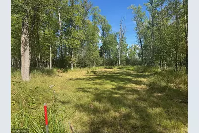 Tbd Sheshebe Road, McGregor, MN 55760 - Photo 3