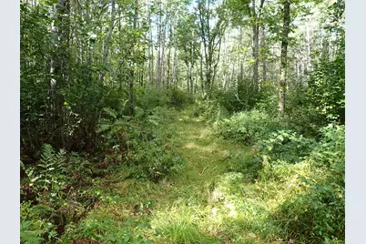 3329 Reuben Johnson Road, Kettle River, MN 55757 - Photo 19