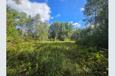 3329 Reuben Johnson Road, Kettle River, MN 55757 - Photo 5