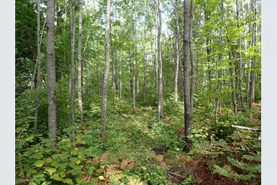 3329 Reuben Johnson Road, Kettle River, MN 55757 - Photo 33