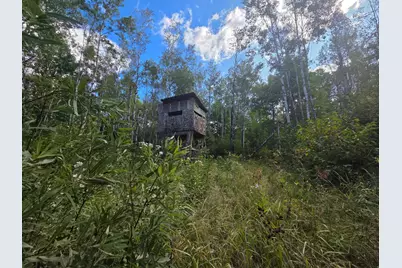 3329 Reuben Johnson Road, Kettle River, MN 55757 - Photo 7
