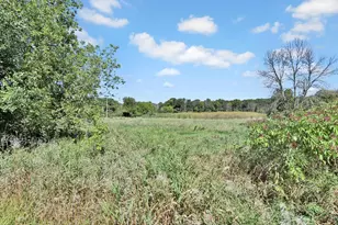 15573 209th Ave NW, Elk River, MN 55330 - Photo 53