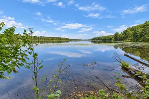 6122 Camp Fish Rd NW, Akeley, MN 56433 - Photo 3