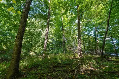 0 170th Street, Spring Valley, WI 54767 - Photo 33