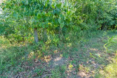 0 170th Street, Spring Valley, WI 54767 - Photo 37