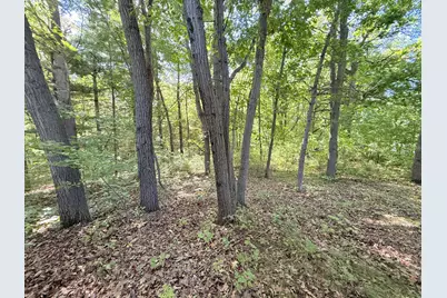 Tbd 120th Street, Zimmerman, MN 55398 - Photo 3