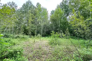 38953 Ada Beach Road S, Waubun, MN 56589 - Photo 69