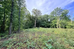 0 Harlee Ct Lot 3, Waconia, MN 55387 - Photo 5