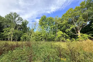 0 Harlee Ct Lot 3, Waconia, MN 55387 - Photo 7